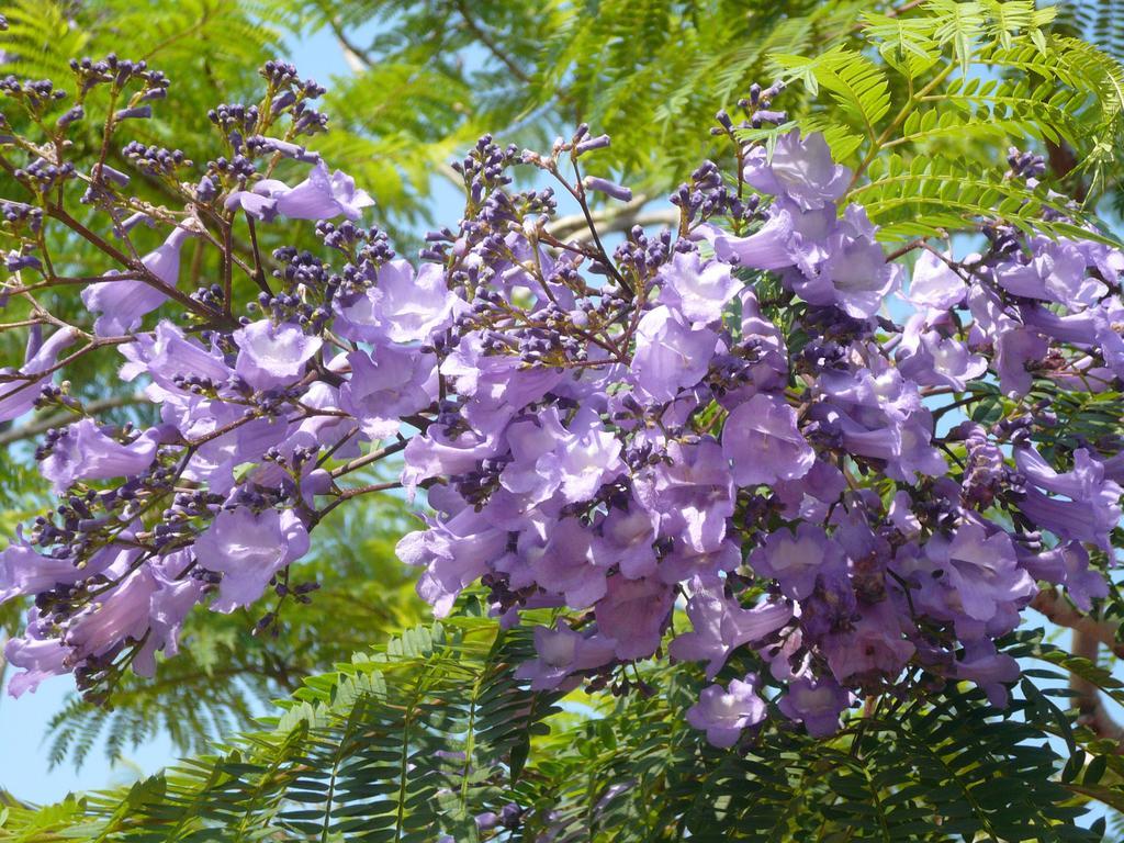 אונזן Ryokan Yamadaya מראה חיצוני תמונה